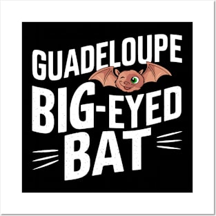 The Guadeloupe big-eyed bat Posters and Art